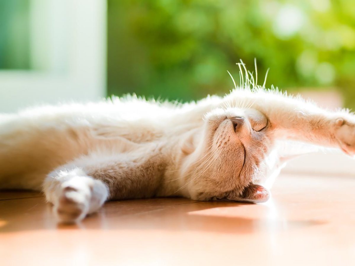 Как поднять себе настроение