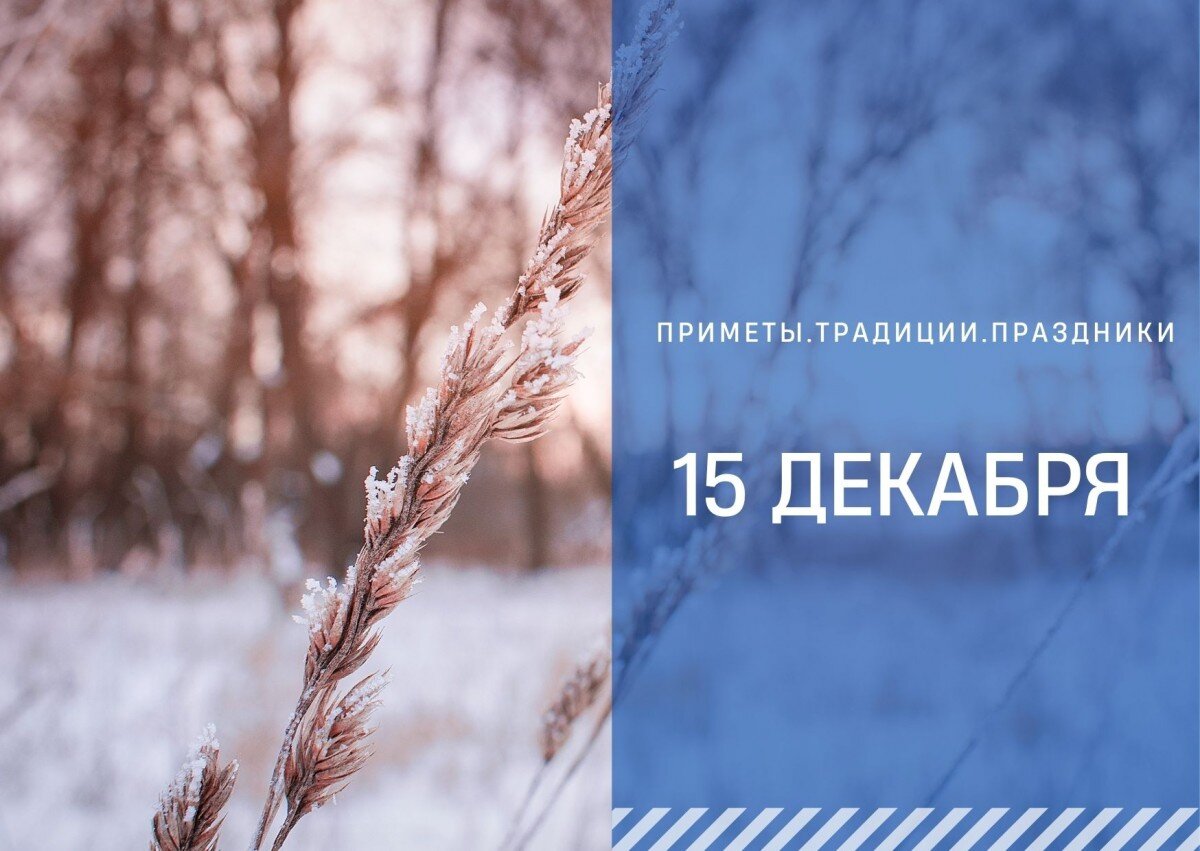 15 ноября приметы