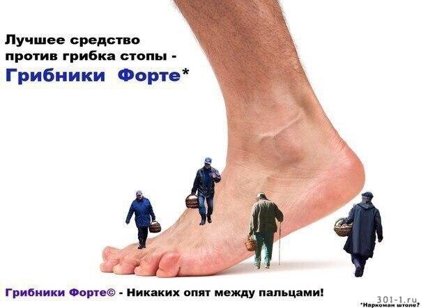 Изображение из открытых источников: 301-1.ru