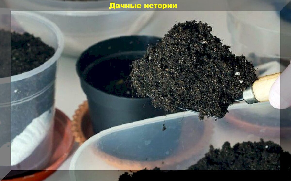 https://vk.com/photo-159774511_457250688