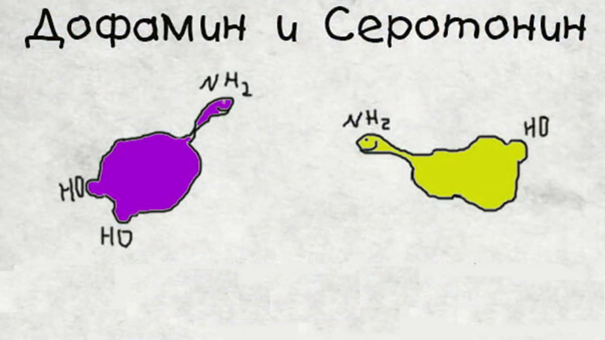 Серотонин и дофамин. Гормоны радости и счастья. Гормоны дофамин серотонин. Счастье это дофамин серотонин. Серотонин эмоция