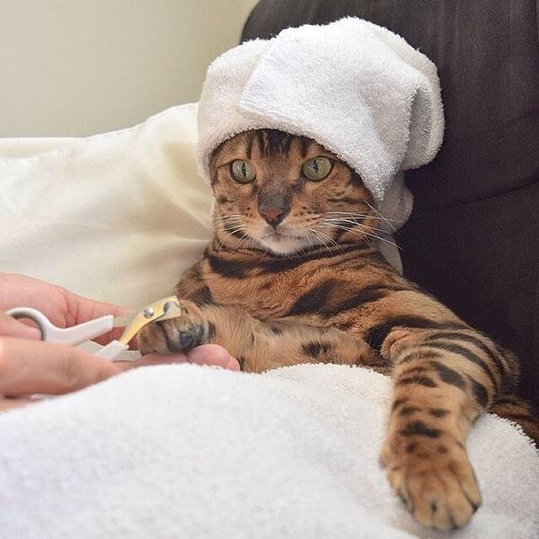 И что вы, люди, находите в этом Спа?