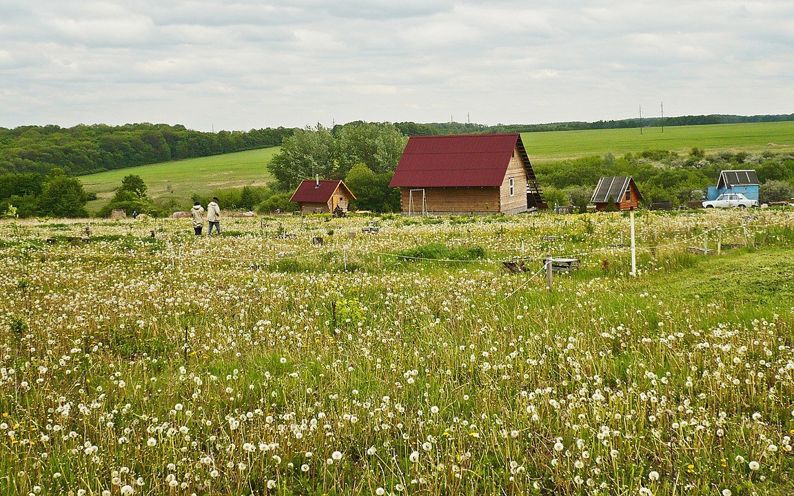 Wikimedia Commons