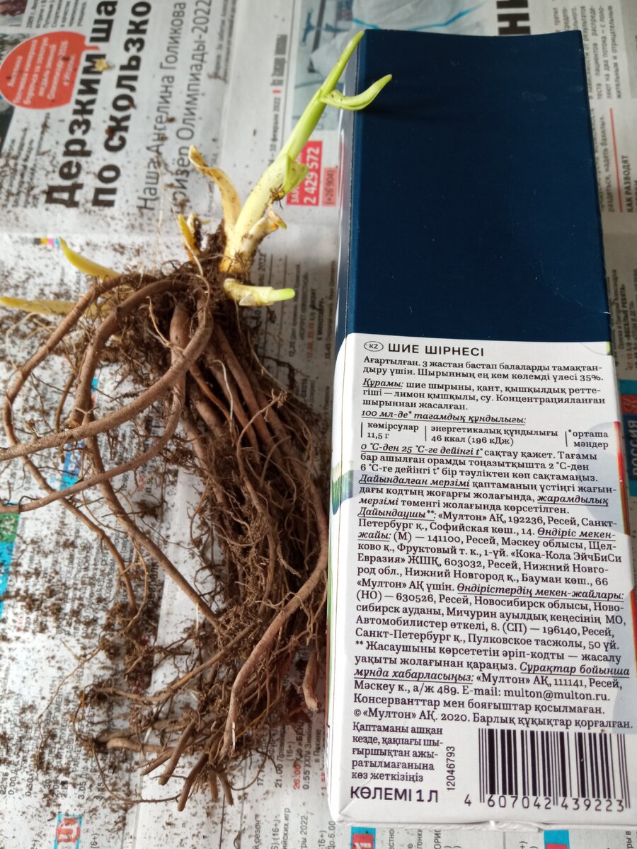 Этот пакет надо немного подрезать.