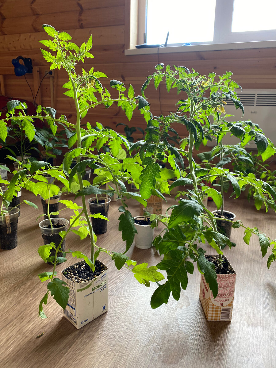 Личное фото 