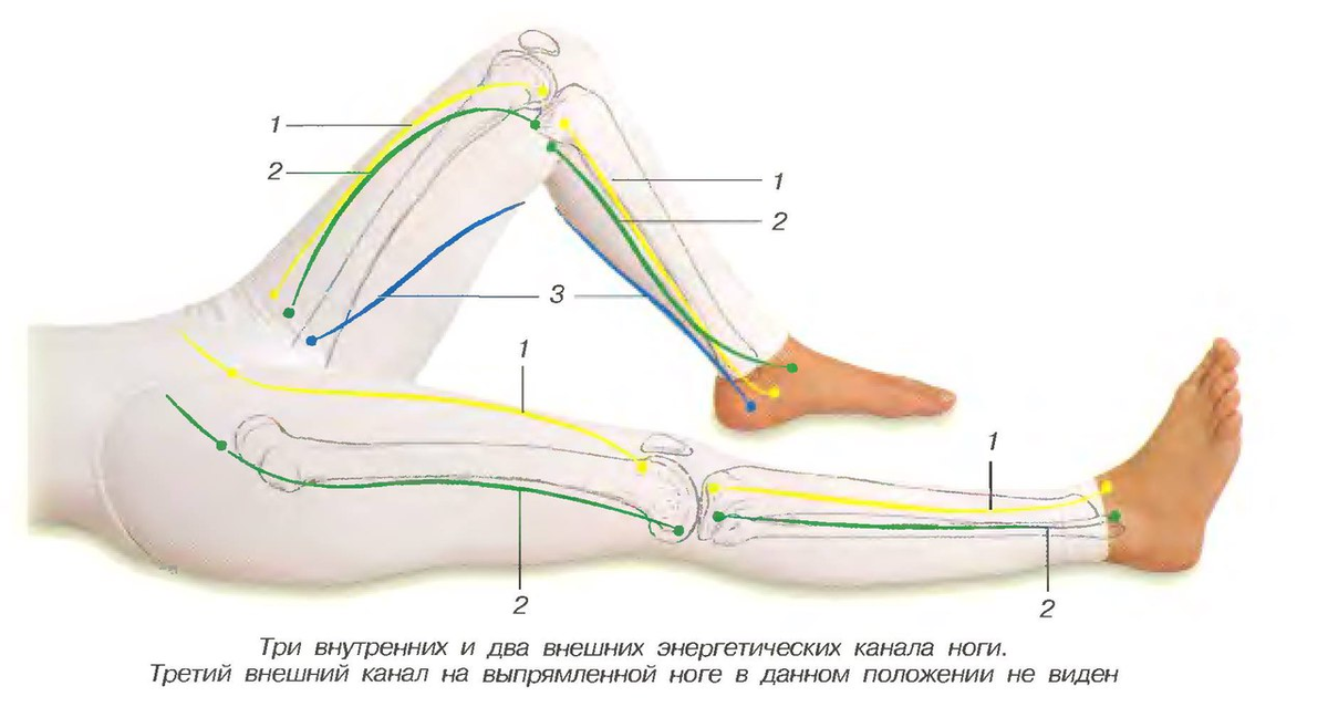 какая энергия в ногах. энергетические+чакры+человека+схема. меридиан человека схема энергетических каналов. чакровая система человека схема. какая энергия в ногах.