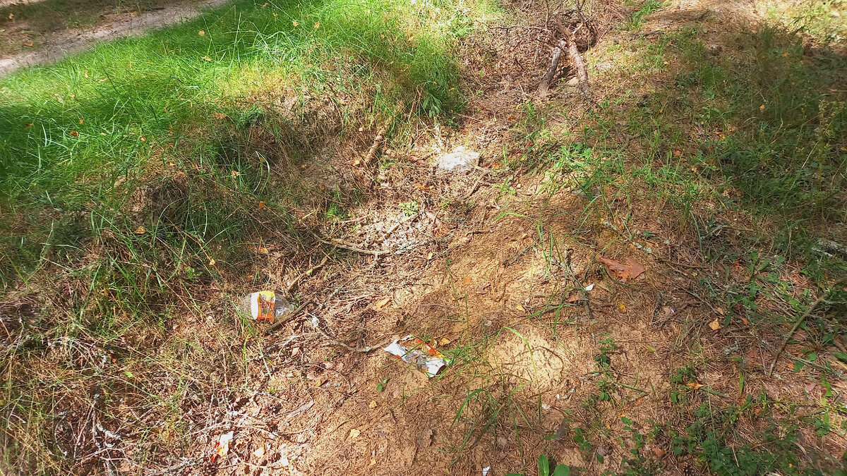 Ну как, гармонично смотрится?