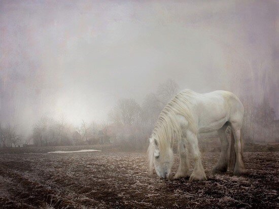    Фото: pixabay.com