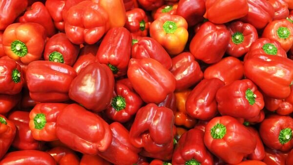   © Sputnik / Максим Блинов