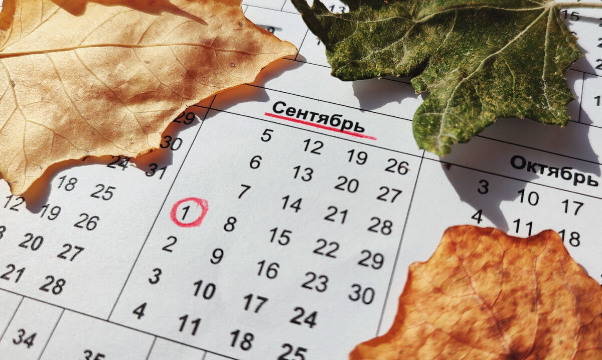 Представим Вам обзор наиболее интересных изменений на начало сентября 2022 года.