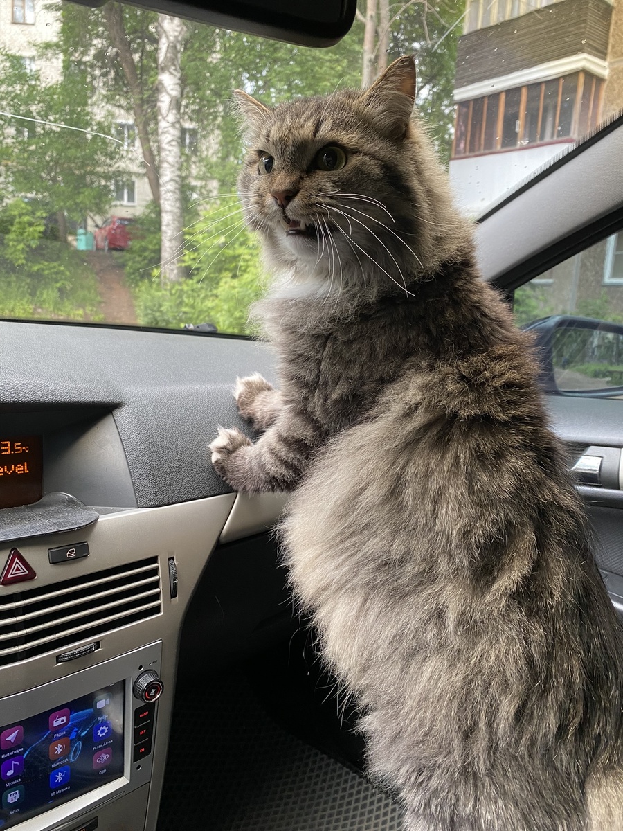 Этот точно у меня древний. 10 лет ему. Старичок. 