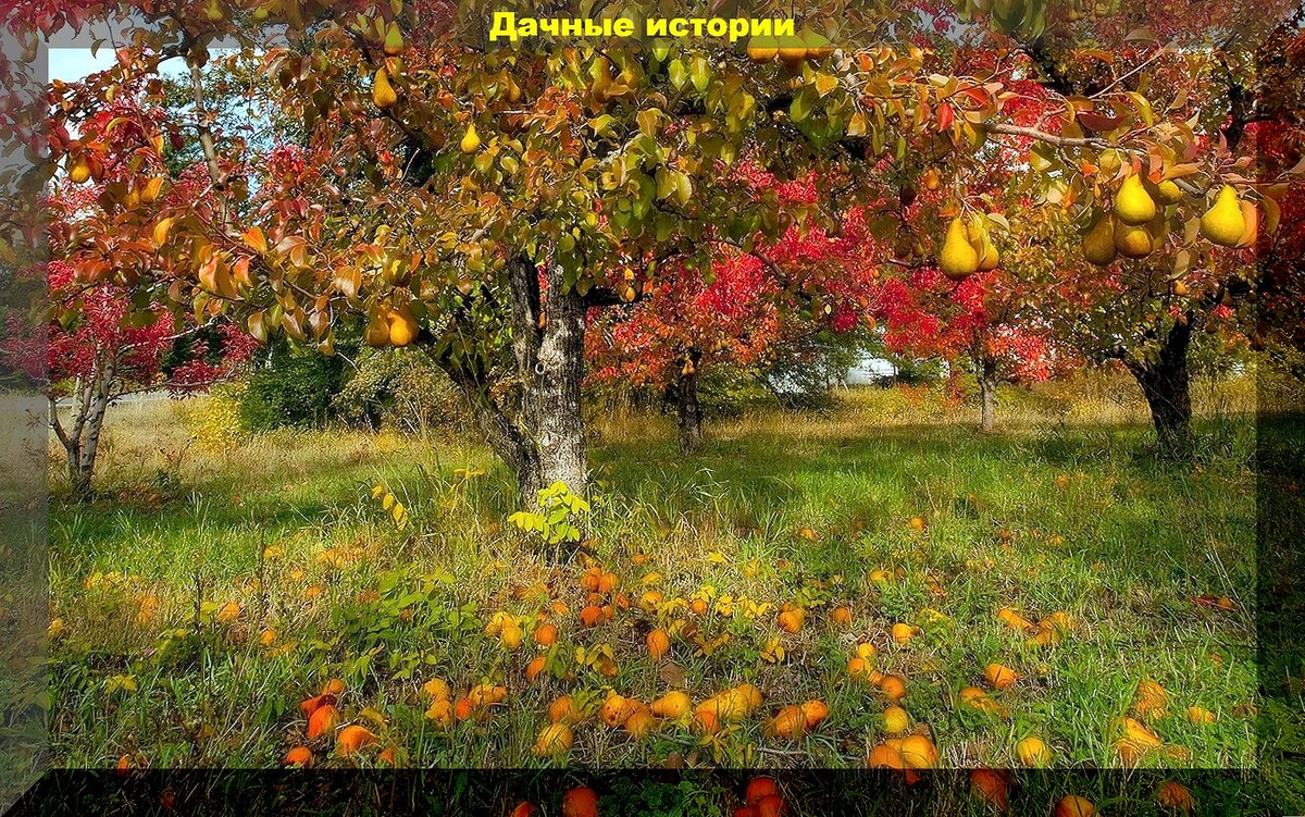 https://vk.com/photo-159774511_457261823
