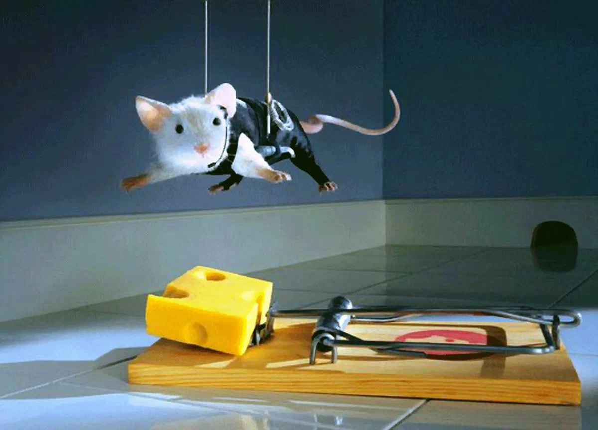 Как работать mice