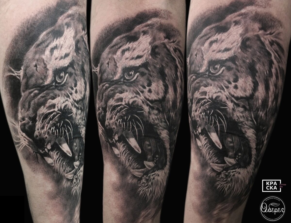 Работа Тимофея