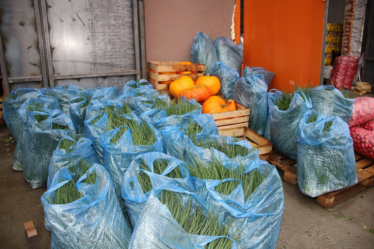 ФОТО: АДМИНИСТРАЦИЯ СОСНОВСКОГО РАЙОНА.