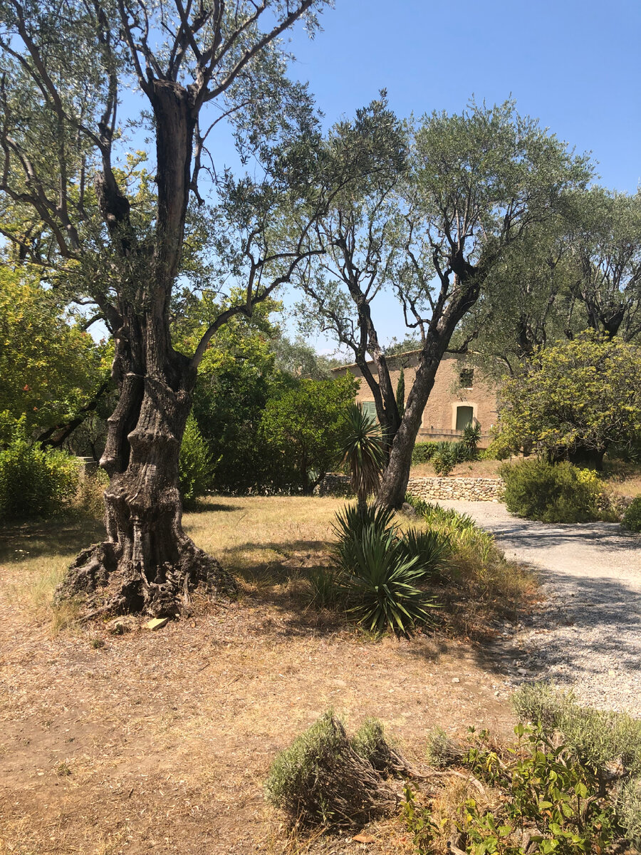 Кань-Сюр-Мер. Усадьба Ренуара «Колетт». 