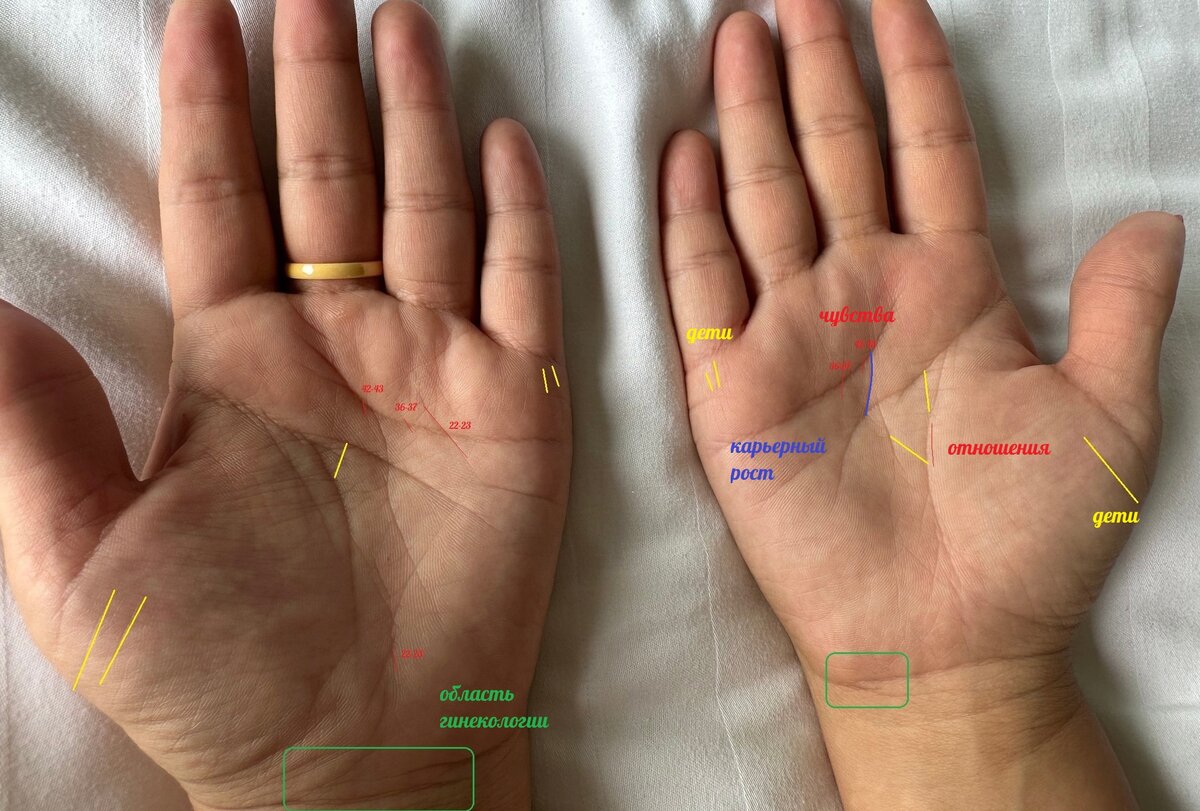 Рассмотрим руки вместе. Будут ли дети, муж, семейное благополучие. Хочется  процветания в бизнесе и расширения | Хиромантия - заметки🔍🖐🏻 | Дзен