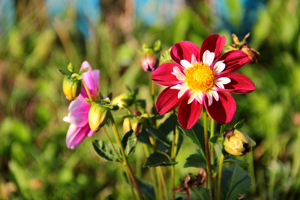 Фото автора