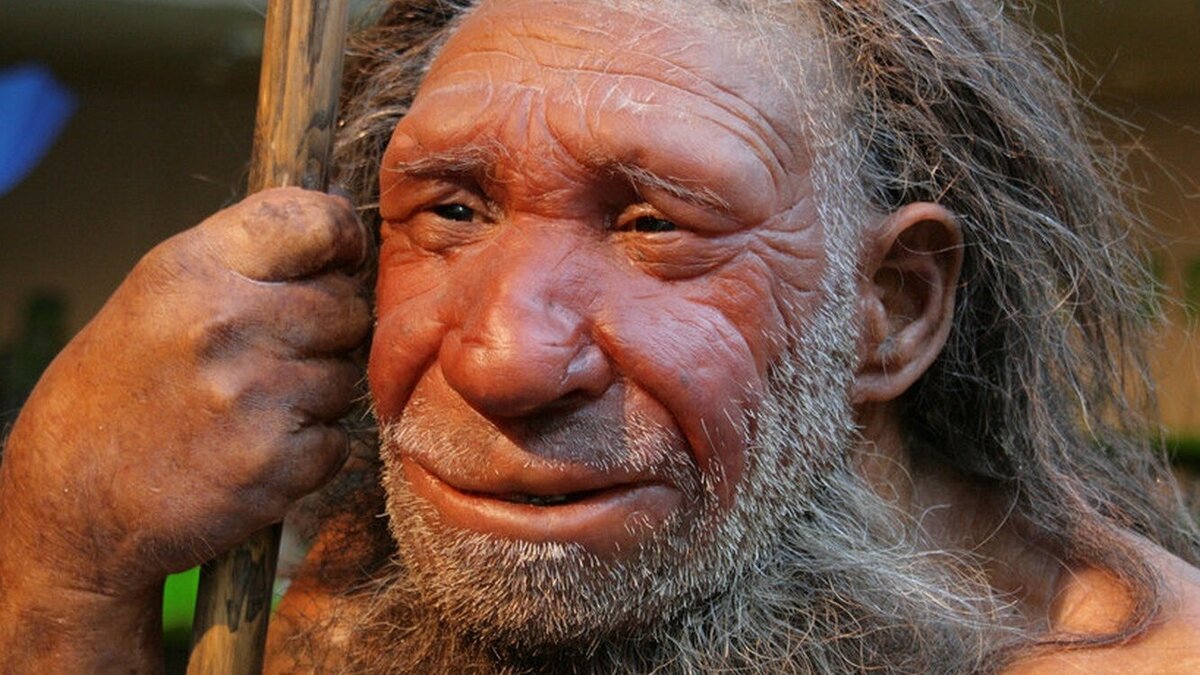     Итальянские ученые провели исследование, полностью подтвердившее прежние выводы о том, как гены неандертальцев влияют на здоровье современных людей.