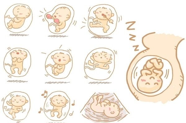 Источник изображения: http://agysik.ru