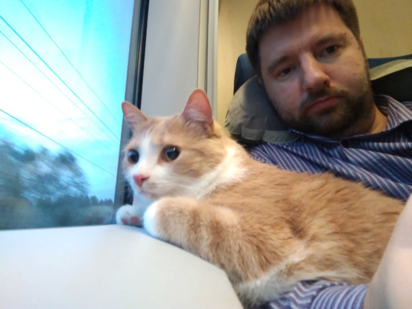 Мы с котом в «Сапсане».