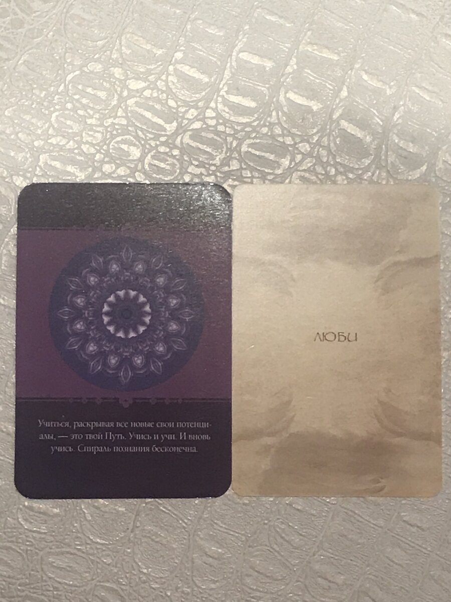 Автор фото: Инна Макаренко