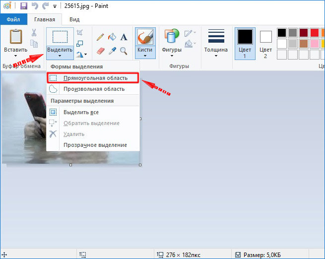 Paint выделение. Выделение в паинте. Выделение области в Paint. Как в паинте выделить объект. Выделение произвольной области в Paint.