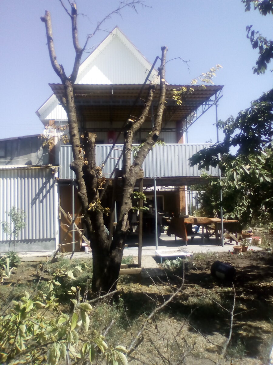 Вот такое чудо стоит теперь у меня перед домом.