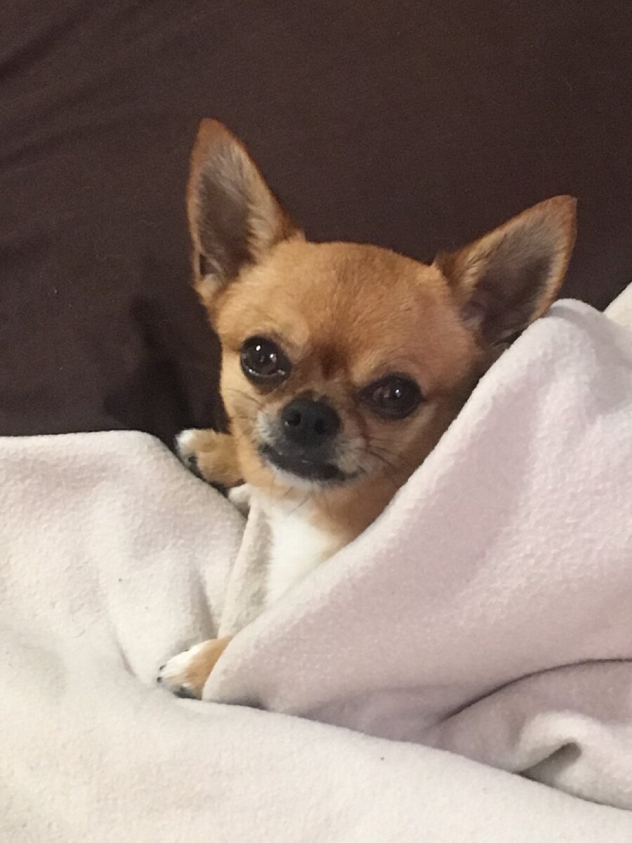 Валяюсь утром долго доллллго