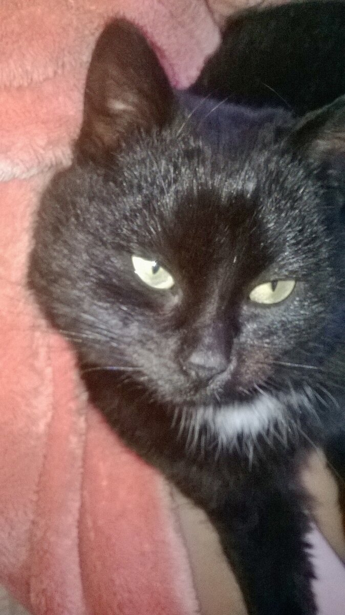 Грустный взгляд