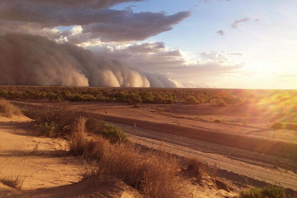 Самум это. Самум Песчаная буря. Песчаная буря Хабуб. Самум ветер пустыни. Песчаная буря в пустыне сахара.