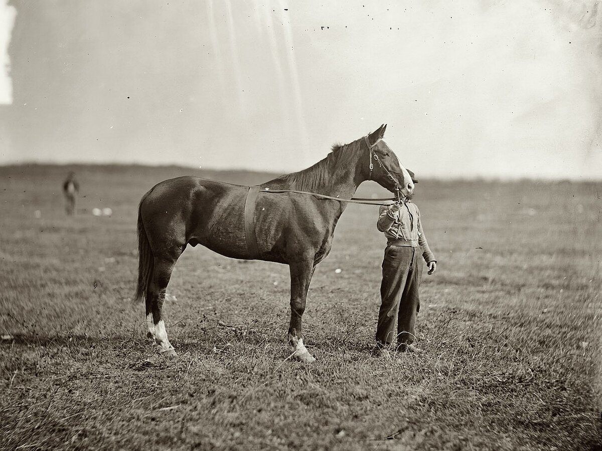 источник Яндекс.Картинки