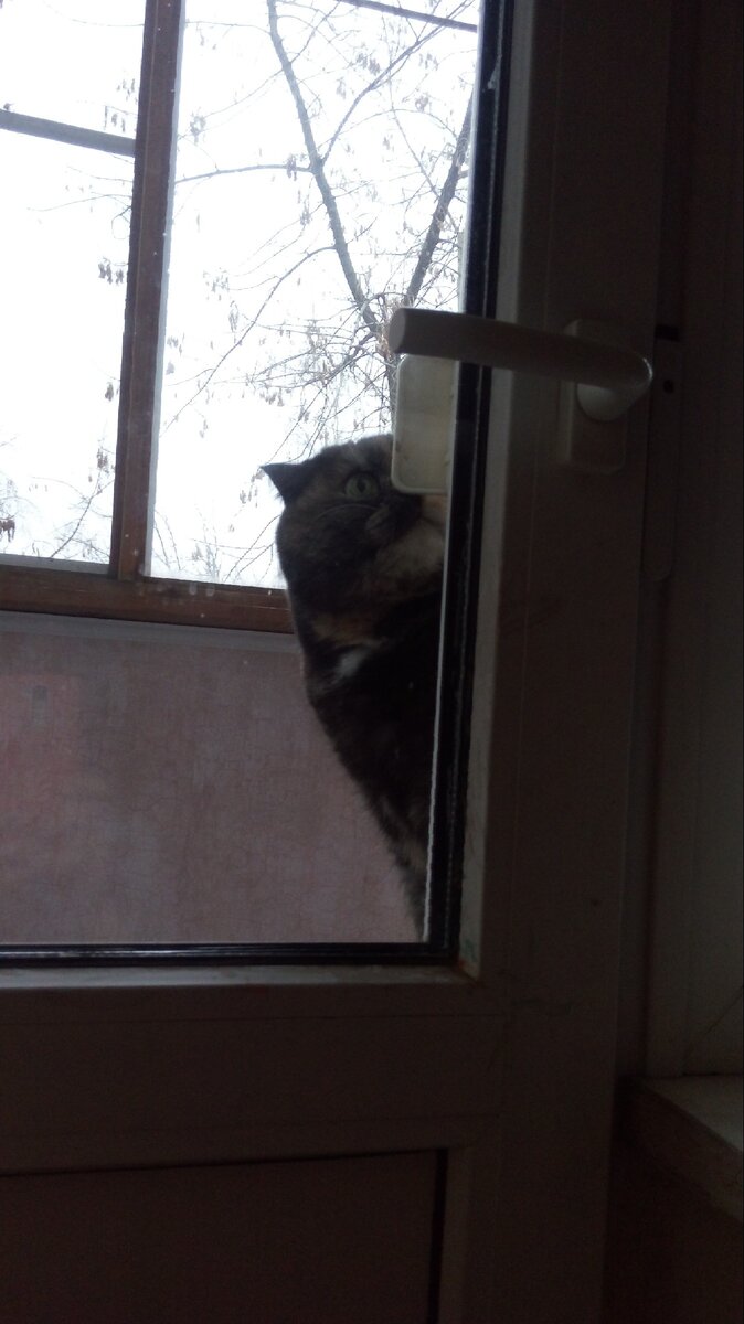 Откройте эту дверь сейчас же