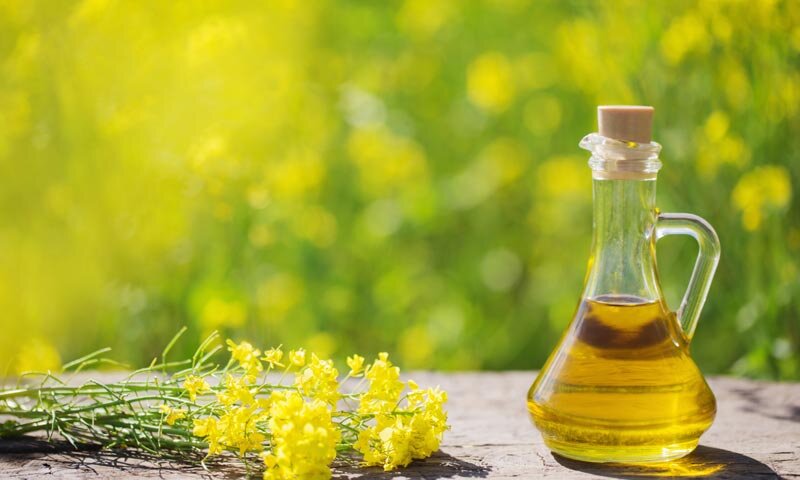 Фото: Adobe Stock