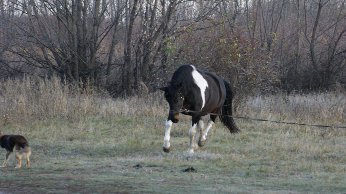 фото автора, есть в моих социальных сетях