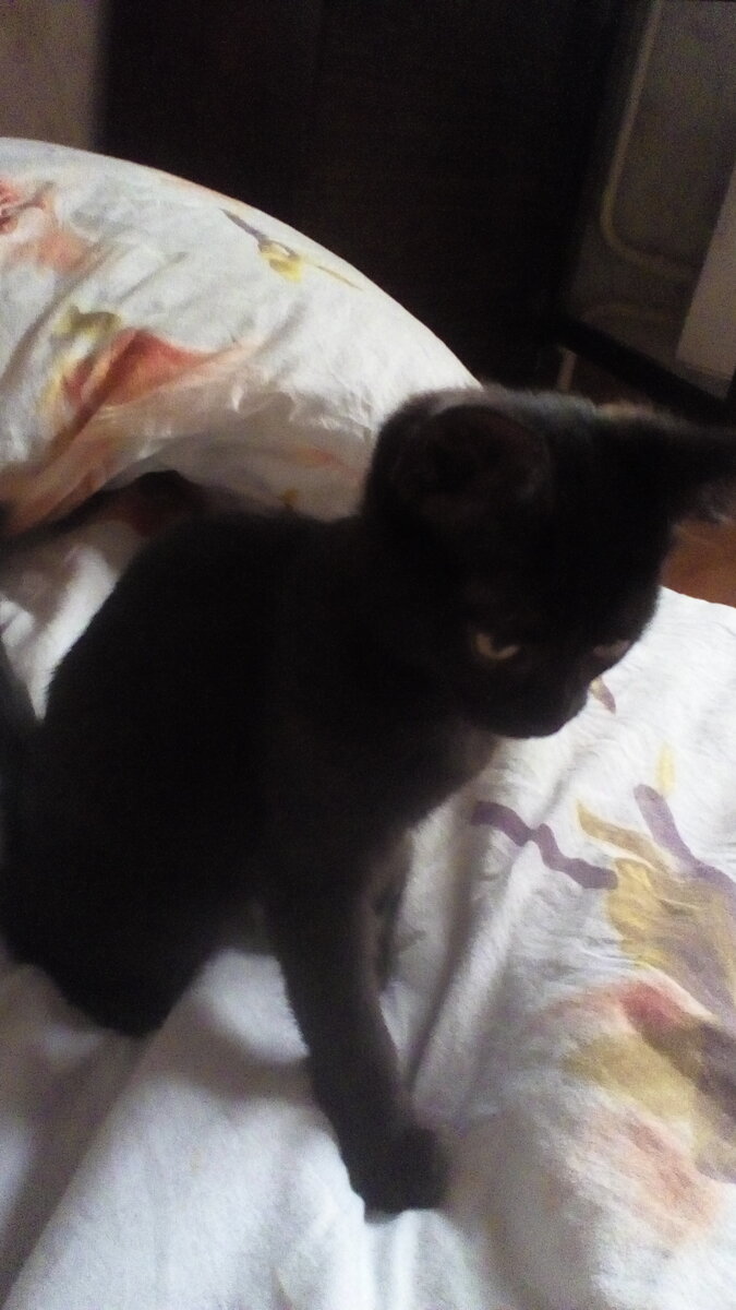 вот такой она была