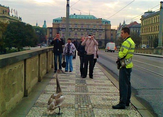 Фото с сайта ежедневника "Метро"