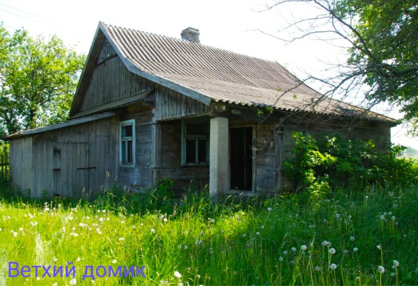 Изображение взято из общего доступа