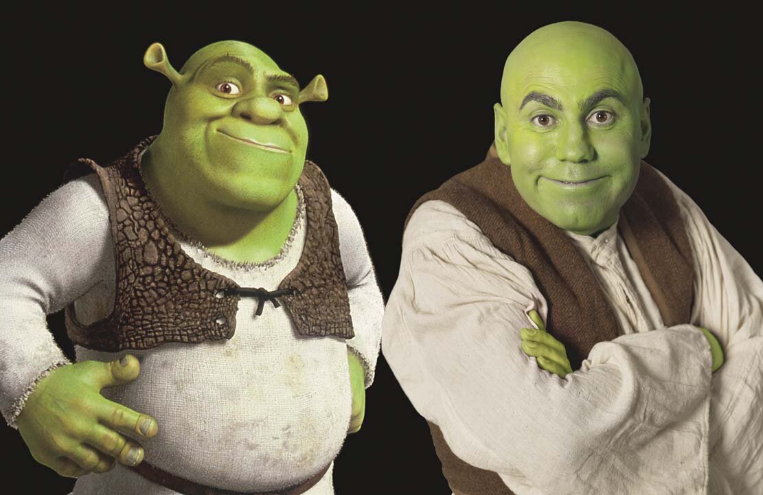 Хорош да пригож только на бабу очень похож. Пригож похож. Пригожин шрек валерия фиона. Стишки про цифру восемь. Валерия и шрек.