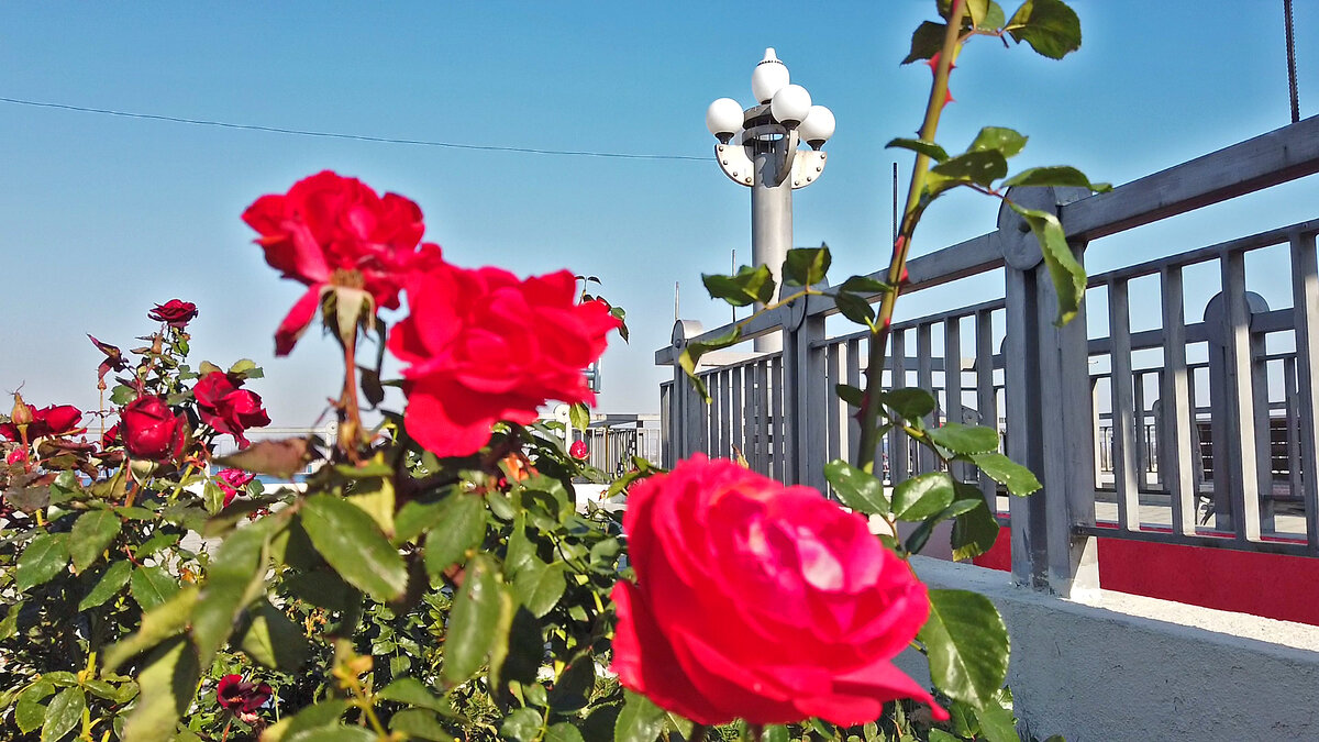 25 ноября в Анапе