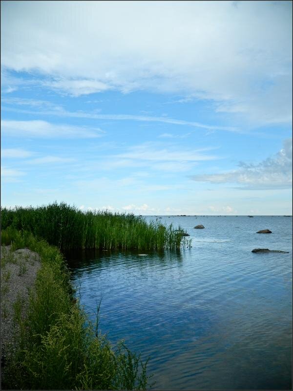 Яндекс. Картинки