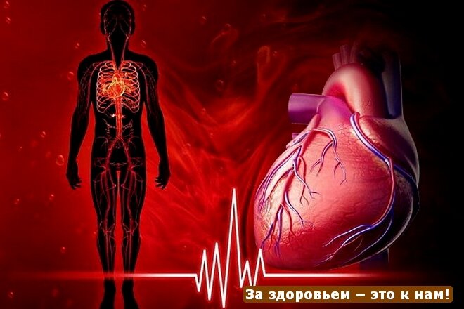 Поддерживать ритм и тонус сердца