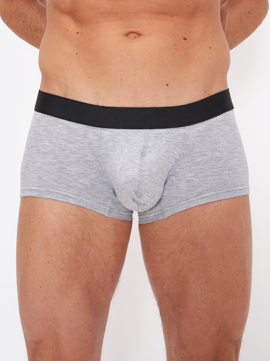 Удлиненные транки, atomic underwear, серые