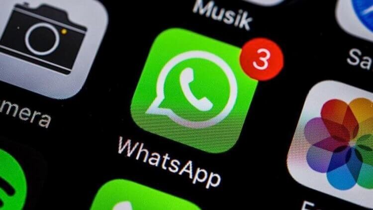 WhatsApp записывает, всё, что вы с ним делаете. Рассказываем, как посмотреть эту информацию
