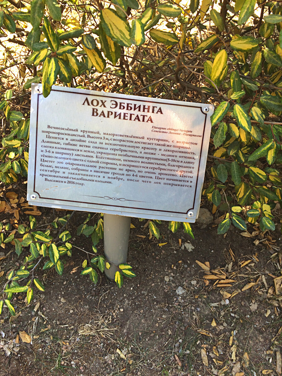 Личный архив
