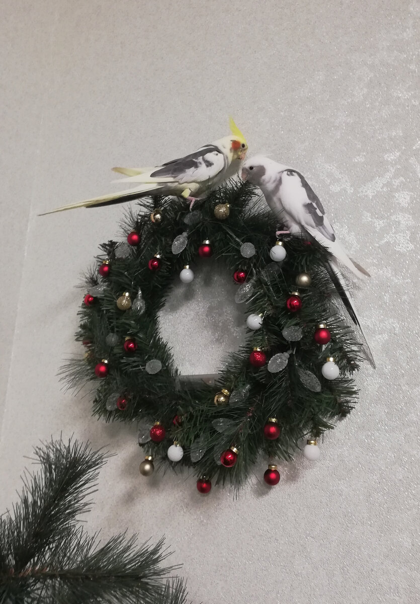 Там уже все посидели, но первыми были Джи и Штерн. Фото автора.