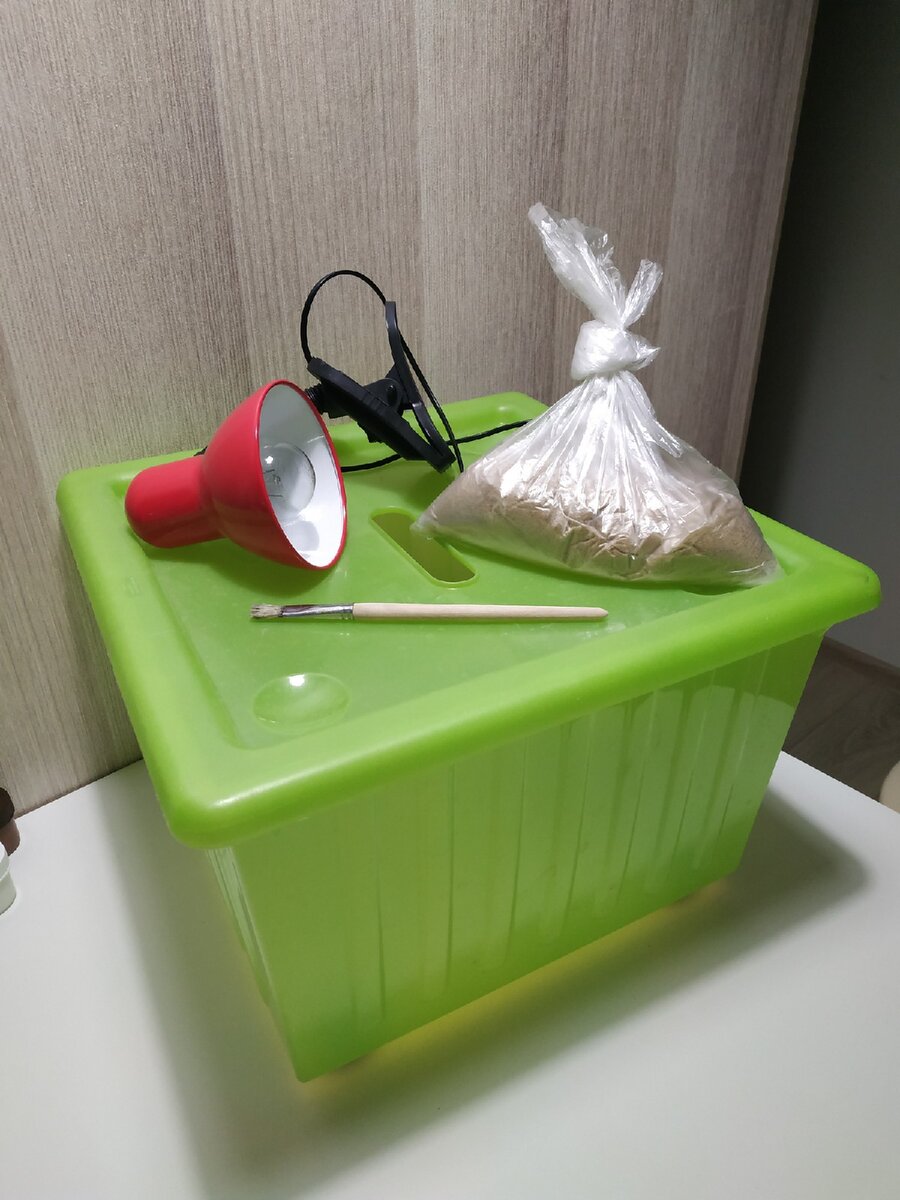 © Дзен - канал "SUPERMAMIO" (фото автора)