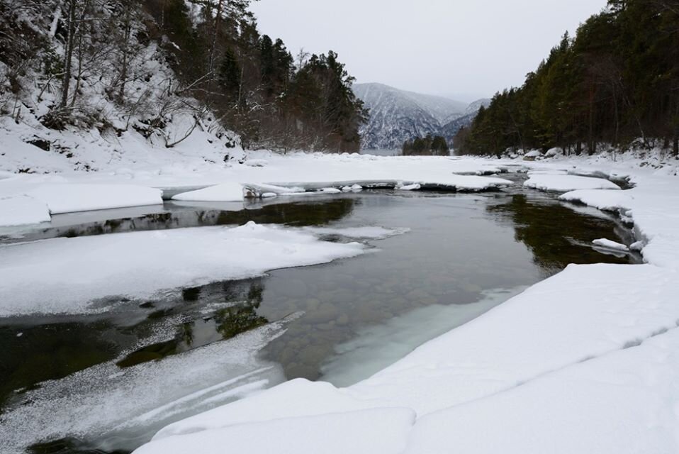 Река Кокши в декабре. Фото С. Усик