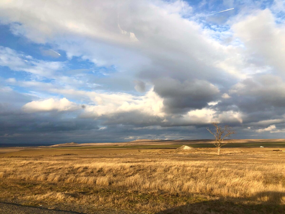 Северный Кавказ