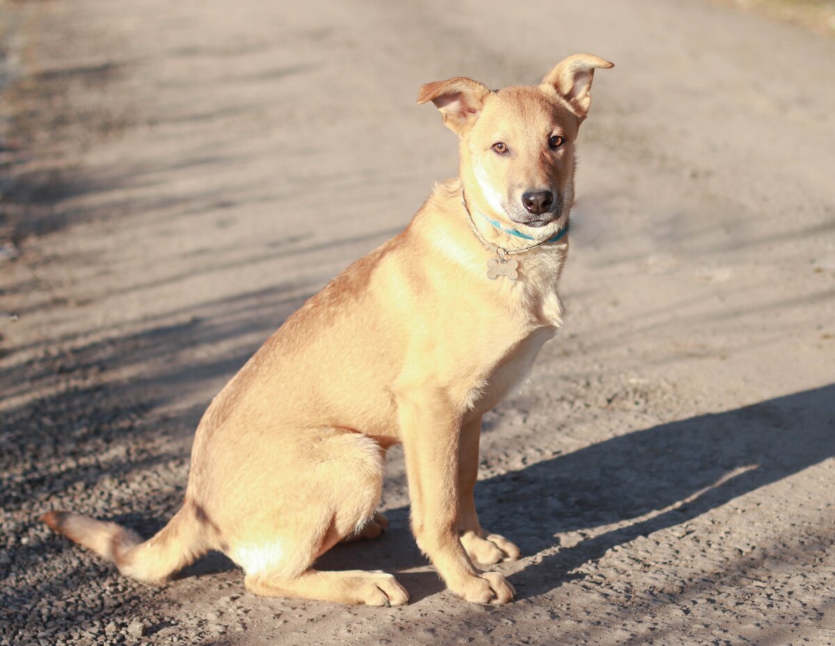 Купер позировал и ослеплял нас:)